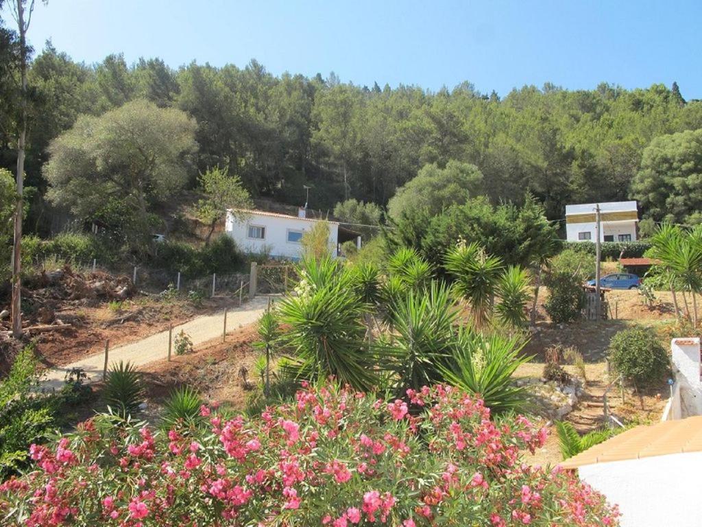 הוילה ססימברה Casa Do Avo Teixeira מראה חיצוני תמונה